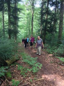 Wanderung Vital Berg